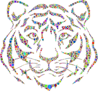 Year Of The Tiger Circles Polyprismatic