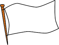 Race flag 
