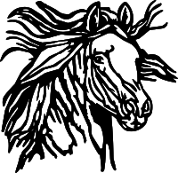 Horse head
