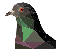Vector Pigeon