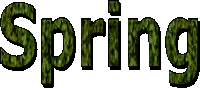 Spring - Text