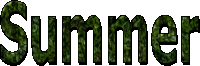 Summer - Text