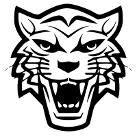 BlackTiger