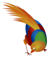 Bird-of-paradise