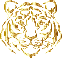 Tiger Face By Rejon Gold