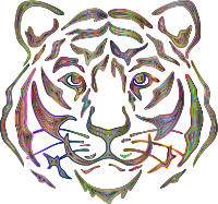 Tiger Face By Rejon Chromatic