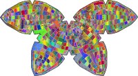 Butterfly Projection World Map Psychedelic