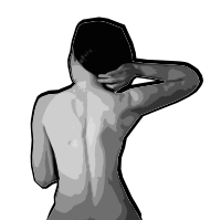 Person's Back