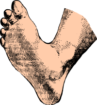 Colored foot