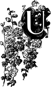 Initial U