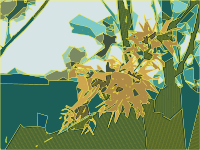Abstract Flowers