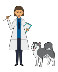 Vet and Dog