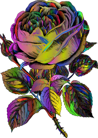 Vintage Rose Line Art Polyprismatic