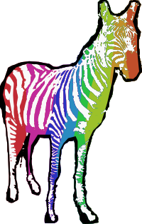 Rainbow Zebra