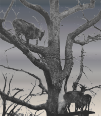 VintageGoatsinTrees