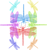 Rainbow Dragonfly Pattern