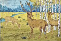 Deer Grazing