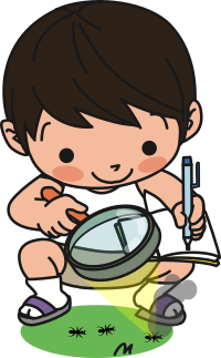 Boy Burning Ants