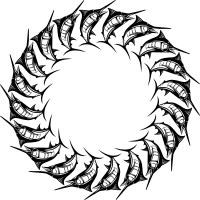 Swordfish Frame