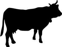 Cow shape