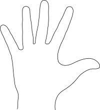 Palm Template