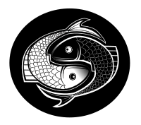 FISH SPIN - YING YANG REMIX