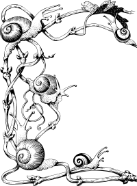 Snail frame