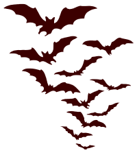 bats flying