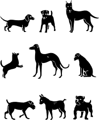 Many Types of Dogs