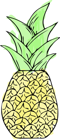 Pineapple - Colour Remix