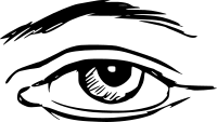 Eye