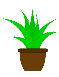Aloe Vera in a Pot