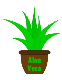 Aloe Vera with a Label