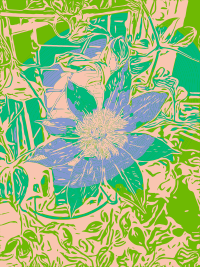 Flower Pattern