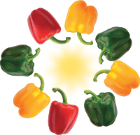 Peppers in a Circle