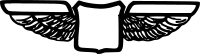 Wings insignia