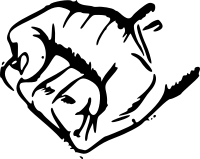 Fist