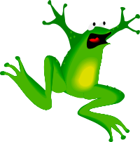 Architetto rana 01 Frog