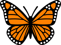 Monarch Butterfly