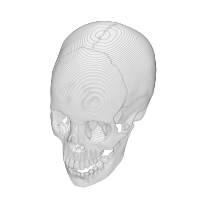Animated spinning skull