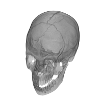 Animated spinning transparent skull