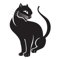 Black Cat - Isolated