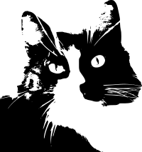 Zino