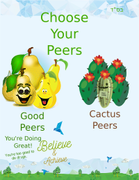 Choose Your Peers2
