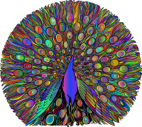 Vintage Peacock Line Art Polyprismatic