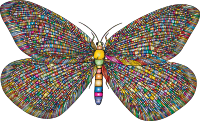 Vintage Butterfly 4 Prismatic