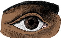 Brown Eye