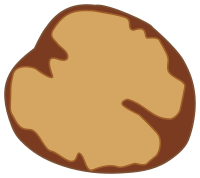 Walnut kernel