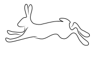 hare