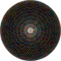 The Array